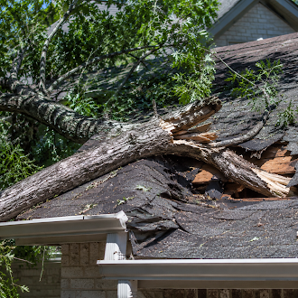 Fallen tree damage on residential roof - 1st Capital Certified Roofing Austin TX